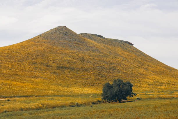 Xilingol Grassland Volcanic Geological Park in Pingdingshan, Inner Mongolia Autonomous Region, China Xilingol Grassland Volcanic Geological Park in Pingdingshan, Inner Mongolia Autonomous Region, China 秋天 stock pictures, royalty-free photos & images