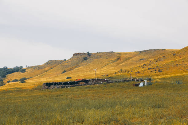 Xilingol Grassland Volcanic Geological Park in Pingdingshan, Inner Mongolia Autonomous Region, China Xilingol Grassland Volcanic Geological Park in Pingdingshan, Inner Mongolia Autonomous Region, China 秋天 stock pictures, royalty-free photos & images