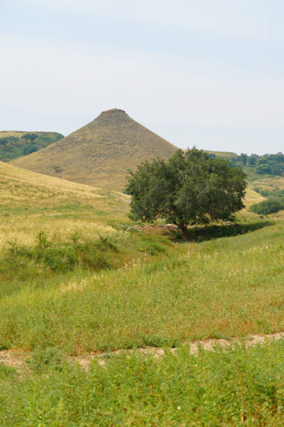 Xilingol Grassland Volcanic Geological Park in Pingdingshan, Inner Mongolia Autonomous Region, China Xilingol Grassland Volcanic Geological Park in Pingdingshan, Inner Mongolia Autonomous Region, China 秋天 stock pictures, royalty-free photos & images