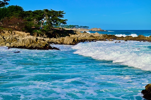 Monterey Bay is a bay of the Pacific Ocean located on the coast of the state of California.