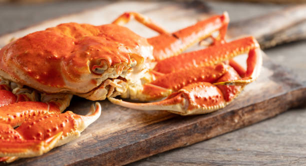 istock Close-up of fresh snow crab, Steamed snow crab 1908772813