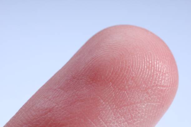 istock Finger with friction ridges on light blue background, macro view 1908795130
