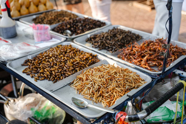 Fried insects Fried insects (locust, worm, cricket, pupa, and giant waterbug) as street food on a vendor stall, Thailand. fried insects for snack thai food at market stock pictures, royalty-free photos & images