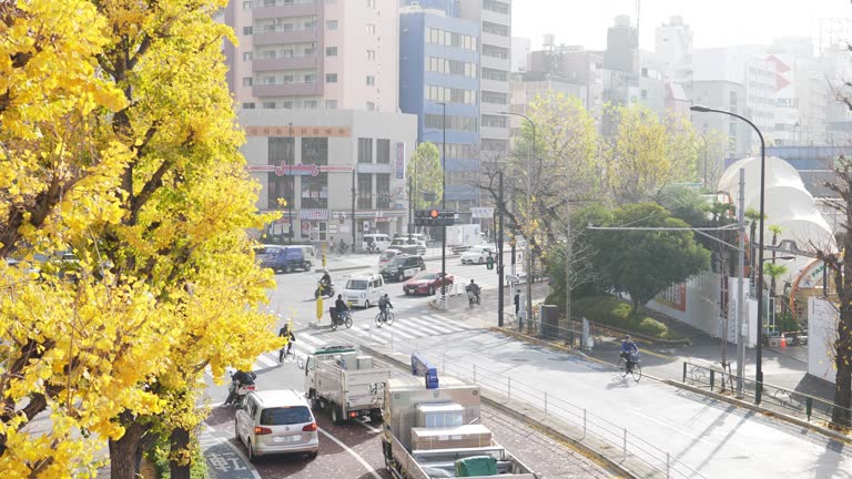 Traffic at Tokyo , Japan ,  autumn season .