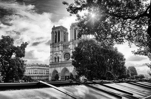 Notre-Dame cathedral in the 6th arrondissement of Paris city