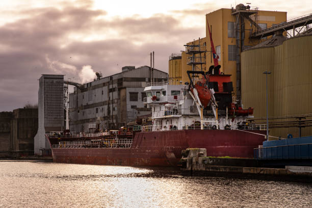 large cargo ship - cargaison zdjęcia i obrazy z banku zdjęć