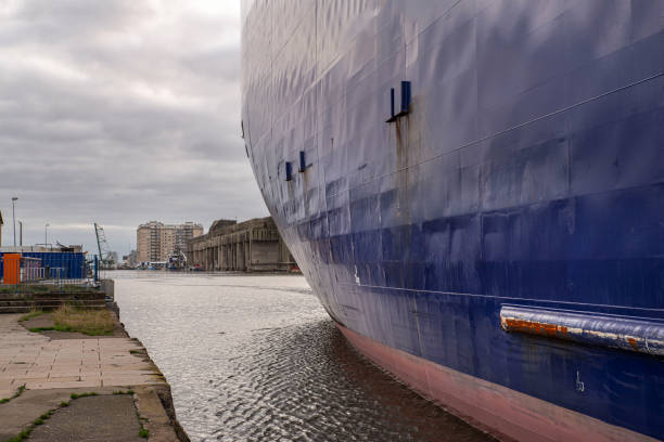 large cargo ship - cargaison zdjęcia i obrazy z banku zdjęć