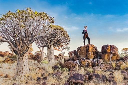 Woman tourist in quiver tree forest, african nature landscape, travel adventure in Namibia, South Africa