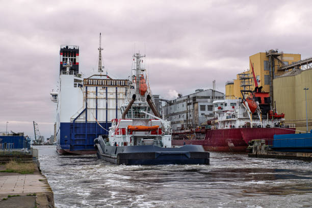 large cargo ship - cargaison zdjęcia i obrazy z banku zdjęć