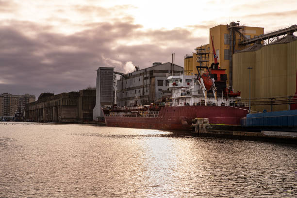 large cargo ship - cargaison zdjęcia i obrazy z banku zdjęć