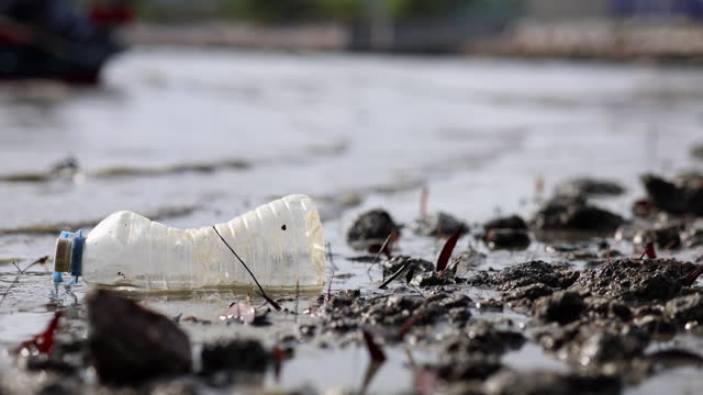 Plastic pollution at sea
