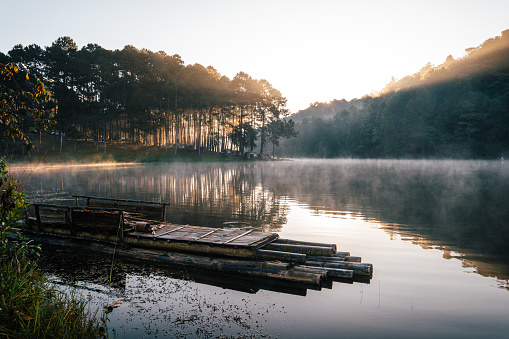 The atmosphere of the reservoir and the pine trees in the early morning and the wooden rafts on the water.