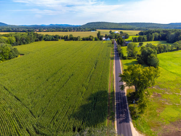 istock aerial view of farm land with corn field 1908946366