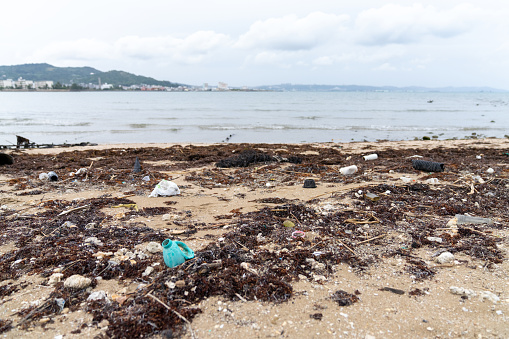Various plastic waste on a beach in Japan