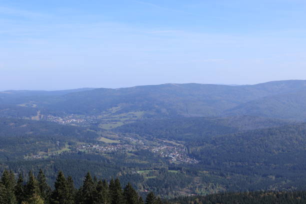 istock Autumn in the Bavarian Forest 1908995141