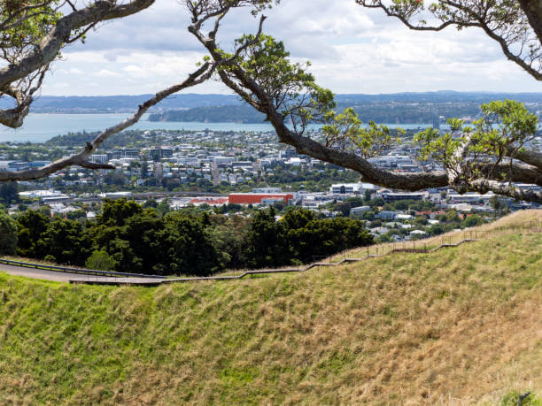 istock Central Auckland view from Mount Eden 1909031598