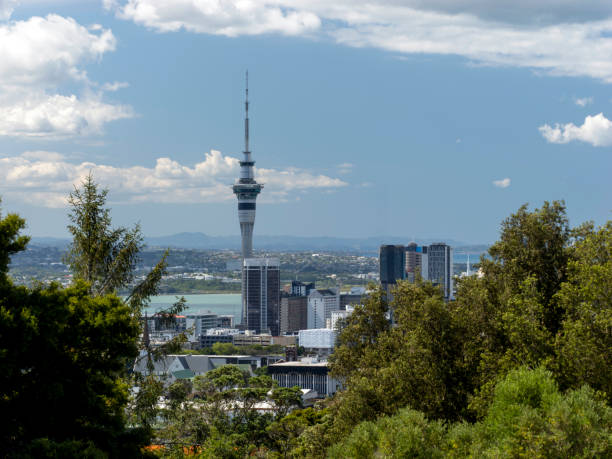 istock Central Auckland view from Mount Eden 1909038526