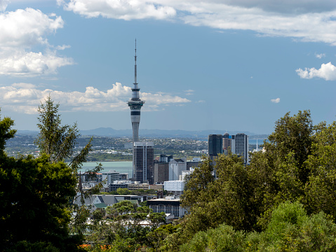 Central Auckland view from Mount Eden