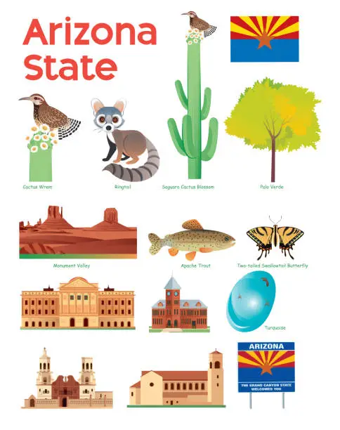 Vector illustration of Arizona State Symbols