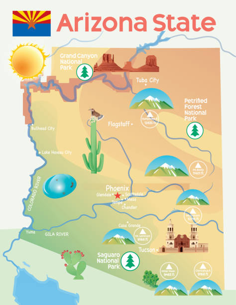 ilustrações, clipart, desenhos animados e ícones de arizona state map - sonoran desert illustrations