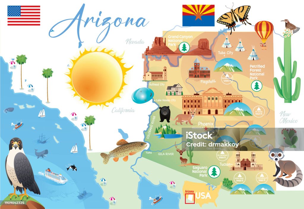 Arizon Fun Map Arizona State Cartoon Map Stock Illustration - Download Image Now ...
