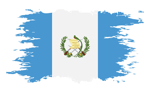 Guatemala flag grunge brush color image, vector