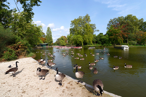 The Minimes lake in Vincennes wood in the 12th arrondissement of Paris city