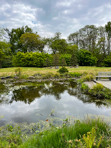 Stock photo showing a large pond in landscaped Japanese gardens, filled with colourful koi carp and goldfish. Reflections of the surrounding plants and flowers can be seen on the calm surface of the water.