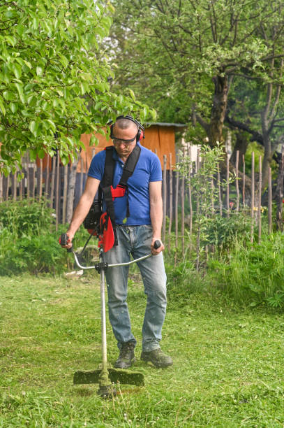 taglio del prato con tosaerba a mano. foto di alta qualità - electric trimmer foto e immagini stock