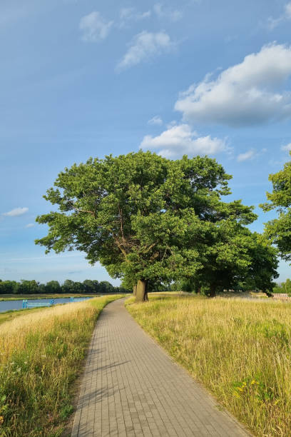 Walking path along in Park