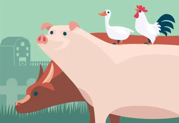 Vector illustration of farm animals - pig cow rooster duck
