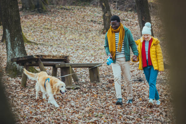 istock Couple Taking Golden Retriever For Walk. 1909176163