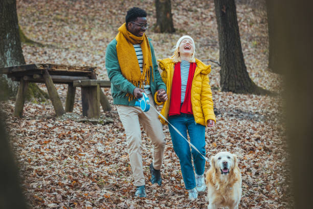 istock Couple Taking Golden Retriever For Walk. 1909176164