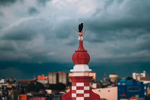 Colombo, Sri Lanka -November 21, 2023:
A crow stands on top of the Jami Ul-Alfar Mosque in Colombo, Sri Lanka.