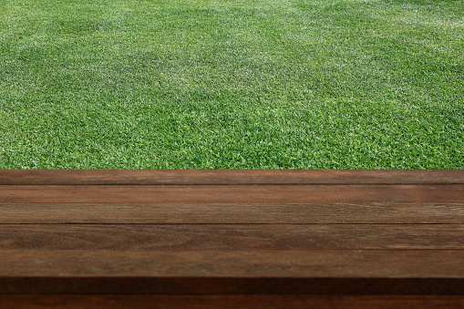 Grass field background and a natural wooden plank. For your photomontage or product display