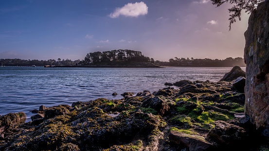Landscape from Port Blanc on the Gulf of Morbihan at low tide with algae and sunshine