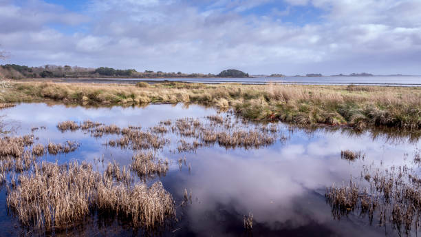 istock Maritime landscape of Brittany 1909222163