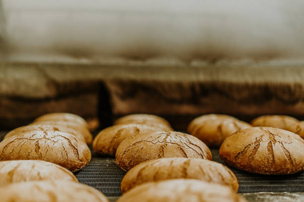istock Fresh buns from the oven. Conveyor with bread. Baking bread. Workshop for production of bread. White bread in the oven. Hot buns. Confectionery 1909242496