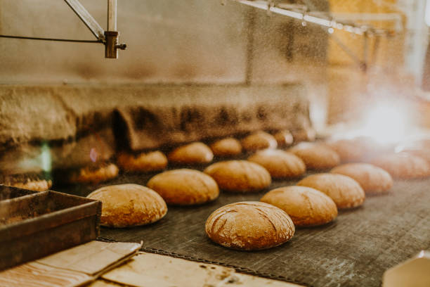 istock Fresh buns from the oven. Conveyor with bread. Baking bread. Workshop for production of bread. White bread in the oven. Hot buns. Confectionery 1909242499