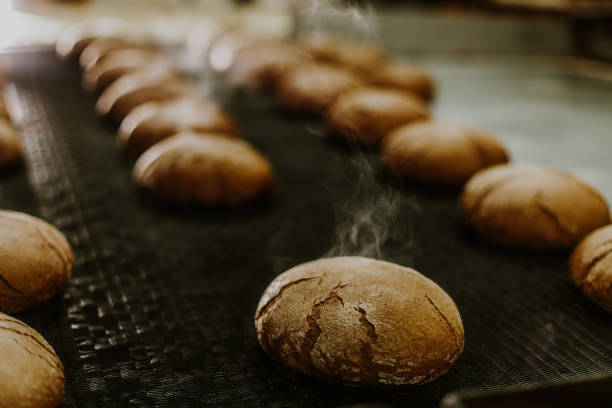 istock Fresh buns from the oven. Conveyor with bread. Baking bread. Workshop for production of bread. White bread in the oven. Hot buns. Confectionery. 1909242502