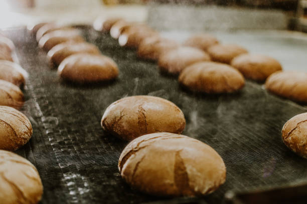 istock Fresh buns from the oven. Conveyor with bread. Baking bread. Workshop for production of bread. White bread in the oven. Hot buns. Confectionery. 1909242507