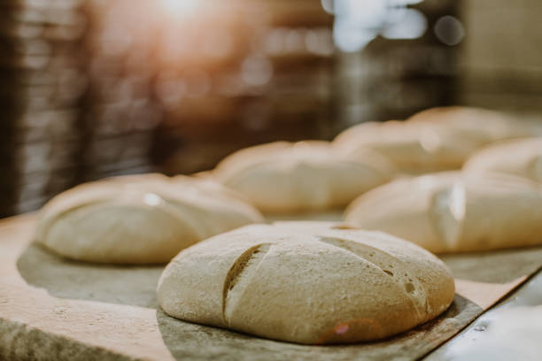 istock Dessert bread baking in oven. Production oven at the bakery. Baking bread. Manufacture of bread. 1909242513