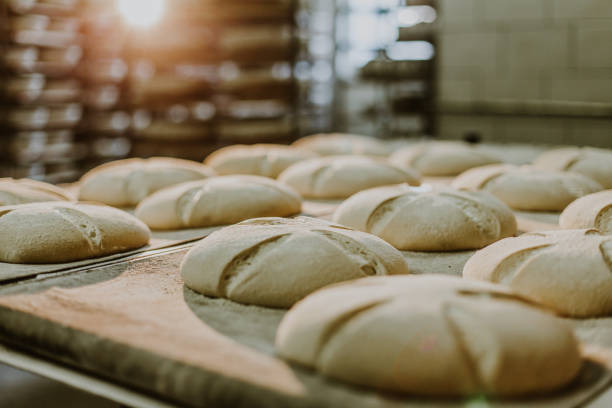 istock Dessert bread baking in oven. Production oven at the bakery. Baking bread. 1909242522