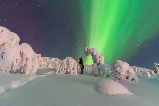 Winter night view of a man admiring ice sculptures under the northern lights (aurora borealis), Lapland, Sweden, Scandinavia