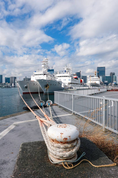 Three public vessels anchored at Harumi Pier (Chuo-ku, Tokyo) On a sunny day in December 2023, three public vessels moored at Harumi Pier at Harumi Pier Park in Chuo Ward, Tokyo. ウォーターフロント stock pictures, royalty-free photos & images