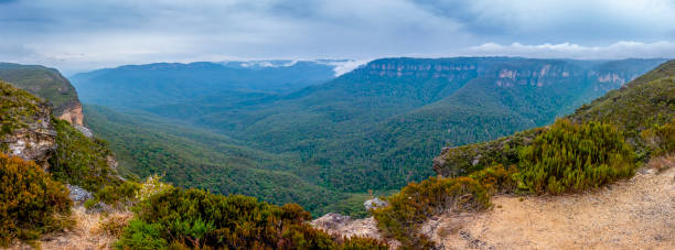 istock Panorama view overlooking Jamison Valley in late afternoon 1909337503