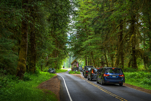 Olympic NP, Washington, USA - June 10, 2023 : Cars wait to pay admission fees at the entrance of Olympic National Park.