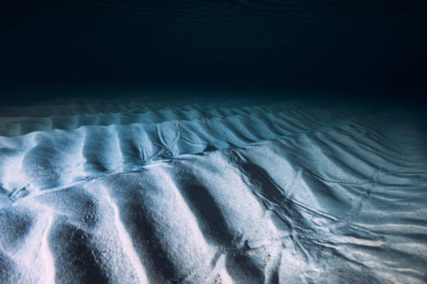 oceano blu tropicale con fondo di sabbia di notte. vista subacquea con luce artificiale - scuba diving flash foto e immagini stock