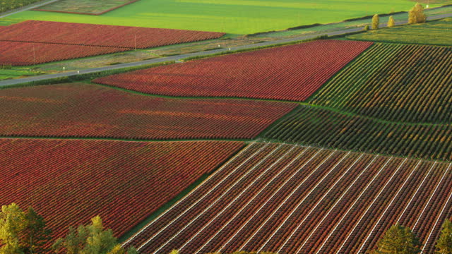 AERIAL Agricultural land in Oregon, USA
