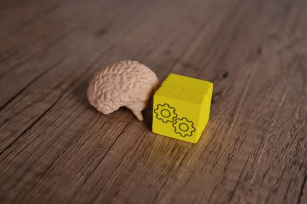 istock Human brain and wooden block with cogwheel icon. 1909416094